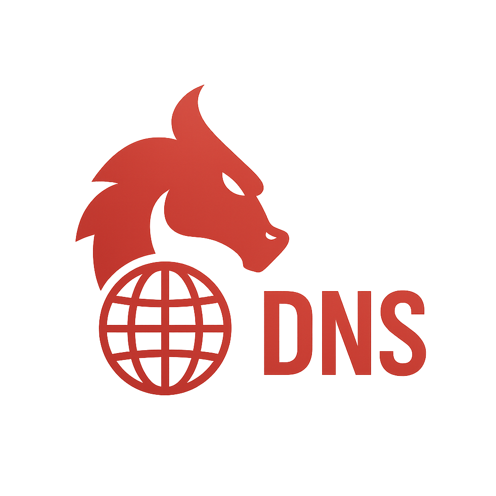 DNS Lookup